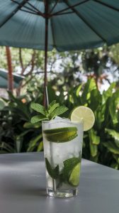 Chilled mojito cocktail in a glass garnished with mint and lime slices.